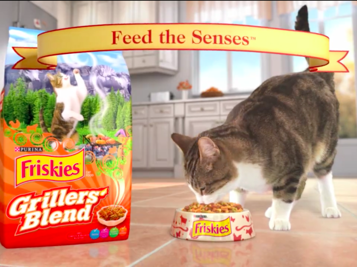 Reklamfilm Kattmat för USA – Friskies