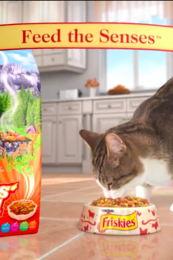 Reklamfilm Kattmat för USA – Friskies